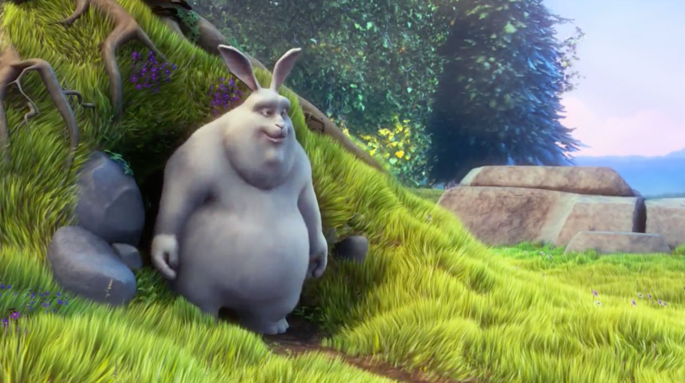 vid image placeholder